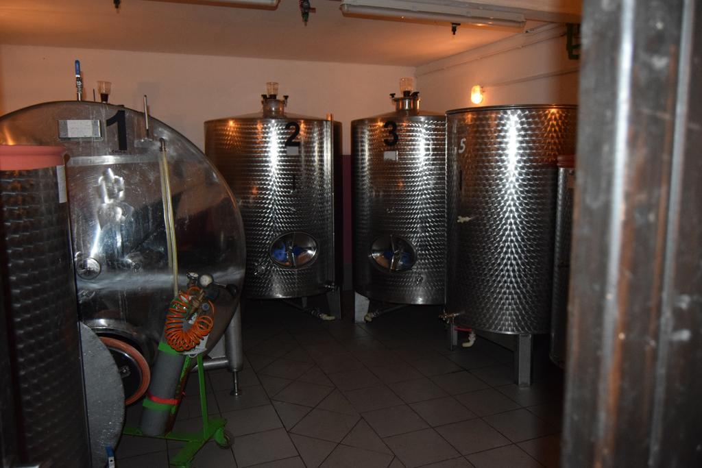 Farm Stay Frank Ozmec Wine And Glamping Estate Ljutomer Buitenkant foto
